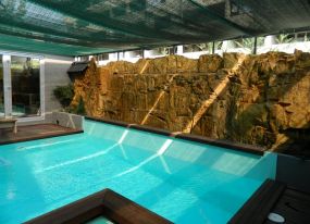 Landscaping Lakeland FL